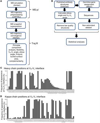 Structural Basis of Antibody Conformation and Stability Modulation by Framework Somatic Hypermutation